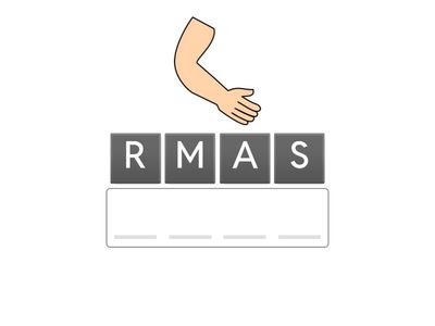 PARTS OF THE BODY VOCABULARY