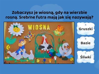 Wiosna