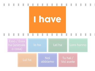 Verbo Avere - To Have