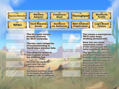 1201 1.1.5@2 Wireless cards