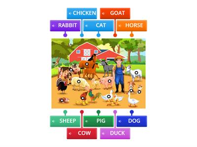   Farm animals  Starter