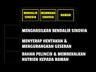 BIOLOGI : 14.2 STRUKTUR SENDI BERGERAK