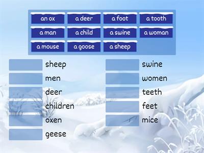 nouns