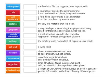 Cells Vocabulary