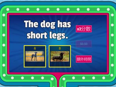 Get Smart 1 Lesson 7-10 practice