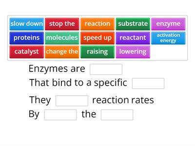 enzyme chant