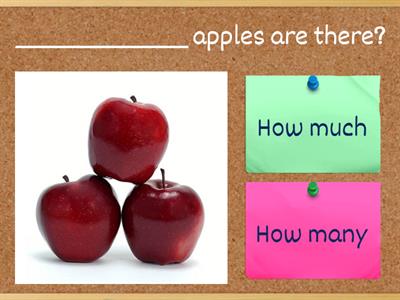 How much / How many Grammar