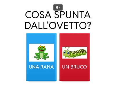 Dal bruco a farfalla