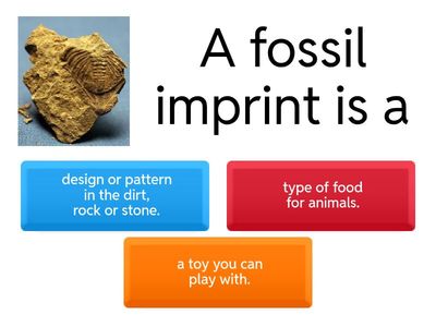 Fossils - Quiz - Grade 3