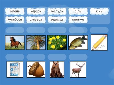  М'який знак. Постав правильно слова до картинки.