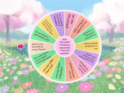 Conversation Questions