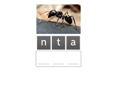 PREPARE 2 - UNIT 16 ANIMALS