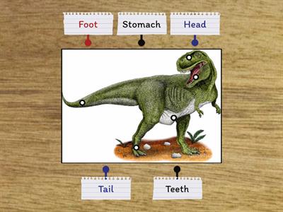 Dinosaur body parts