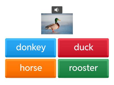 as starter farm animals