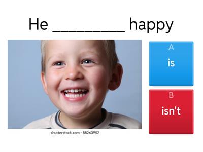 BE (affirmative and negative)