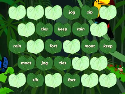 Matching Pairs Phonics 