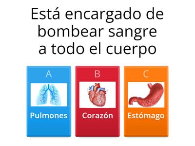 Repaso de ciencias naturales