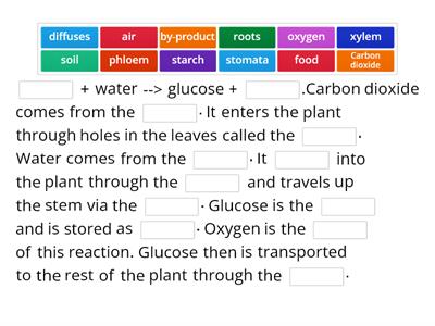 Photosynthesis