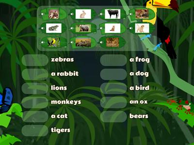 WW4 Unit 4 - Animals