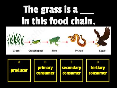 Organisms - Ecosystems