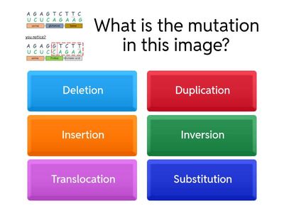 BIO 2: Mutations 