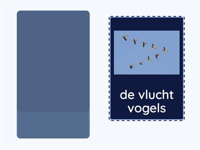 NT2 woordenschat | dieren | vogels