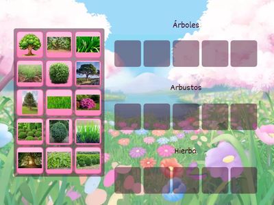 Clasificación - 6° primaria