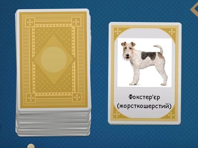  Назви порід собак для тренування гарної дикції