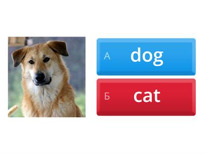 Тренажер для ОВЗ