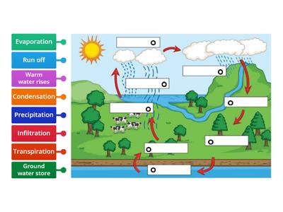 Water Cycle 