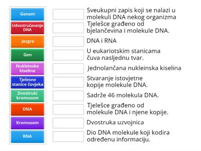 Molekula nasljeđivanja i mitoza