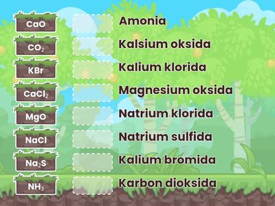 Chem Name Match Challenge 