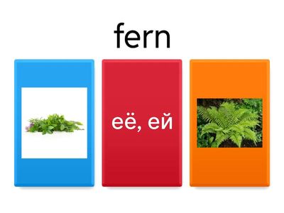 Буквосочетание er Eng - Rus