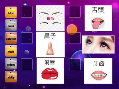 西群卑南語- 脖子以上有什麼 幼稚園