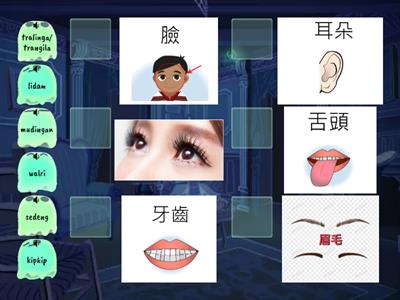 西群卑南語- 脖子以上有什麼 幼稚園