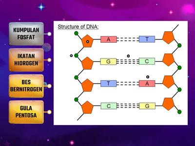 STRUKTUR HELIKS GANDA DUA DNA