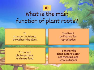 T5.0 Plants - Parts of a plant and their functions