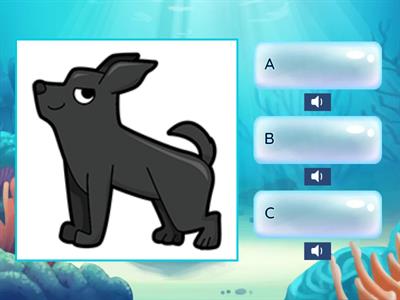 選擇題一-1.擁有句-巒群初級認證