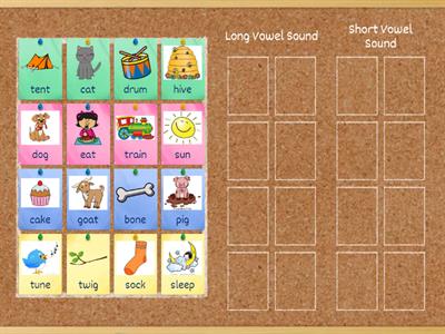 Long or Short Vowel Sounds