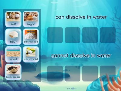 What can dissolve in water?