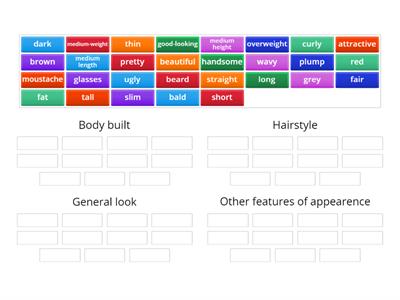 ZNO Leader Unit 1 Appearance categories