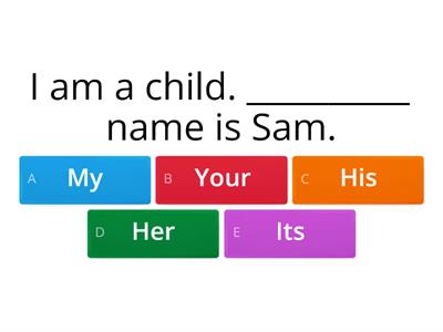 POSSESSIVE ADJECTIVES