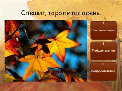 Синтаксический разбор предложения