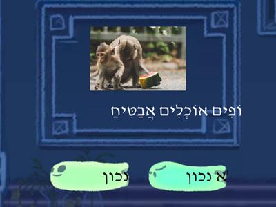 שומרים משפטים שטף דיוק בקריאה