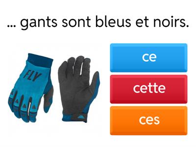 Ce, cette ou ces? 