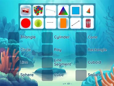 Grade 3 Petals: 'Matching: 2D-Shapes, 3D-Shapes and Parts of a Line'