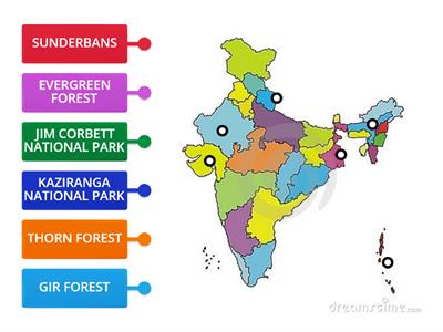 std-4 OUR FOREST WEALTH 