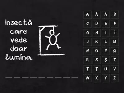 Litera G