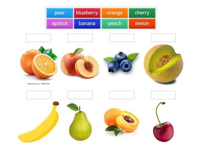 fruit englishwsheets.com