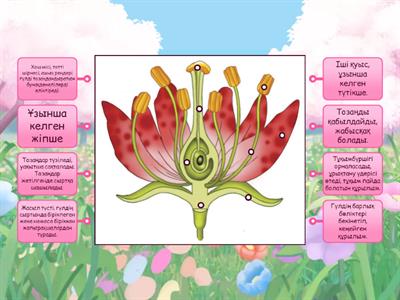 Мас қыздар порно видео онлайн